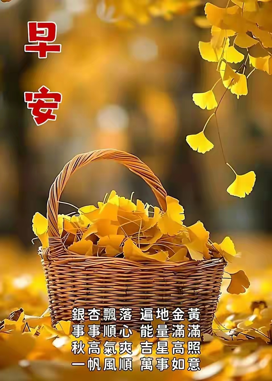 zmllNPEiGh2DP0n_rbvV2wd58d135abf2e631cea7eb6151bfeccf8.jpg