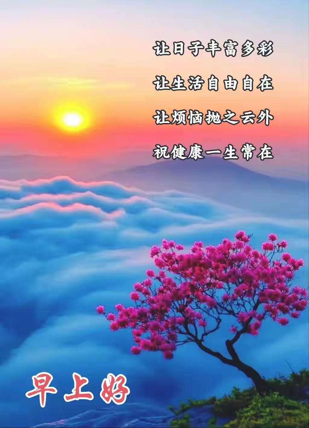zmllNPEiGh2DP0n_rbvV2wabc54b7c28ce0b9b025e69e642a04662.jpg