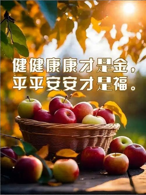 images/2/2026/10/ST1EyJJiW2x1tL15xx35O1R31Zee2X.jpg
