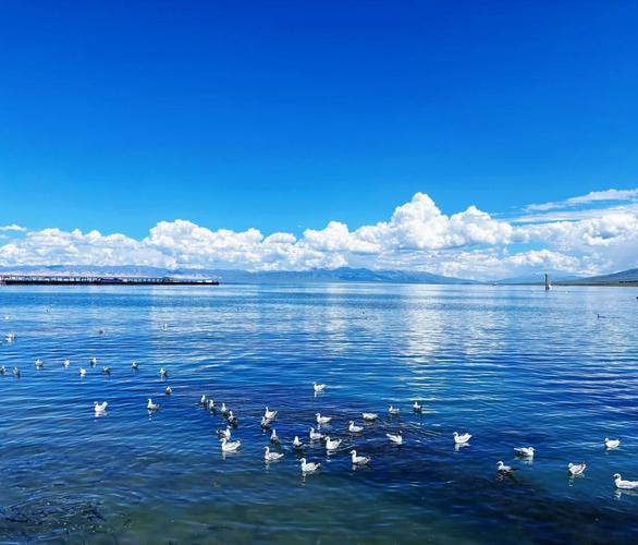 青海湖自驾游:美到窒息的旅行体验
