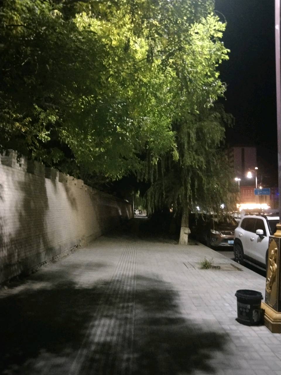 书写本真守清宁(图2)