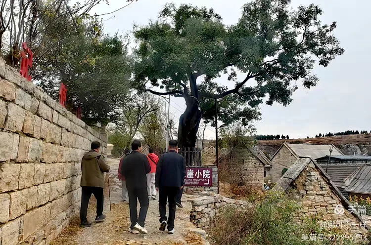 九月重阳过,采风正当时(图2)
