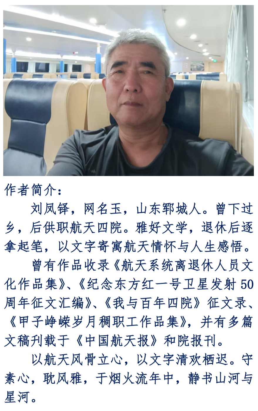 【华英特刊】第04期组诗《过江》作者：刘凤铎（图11）