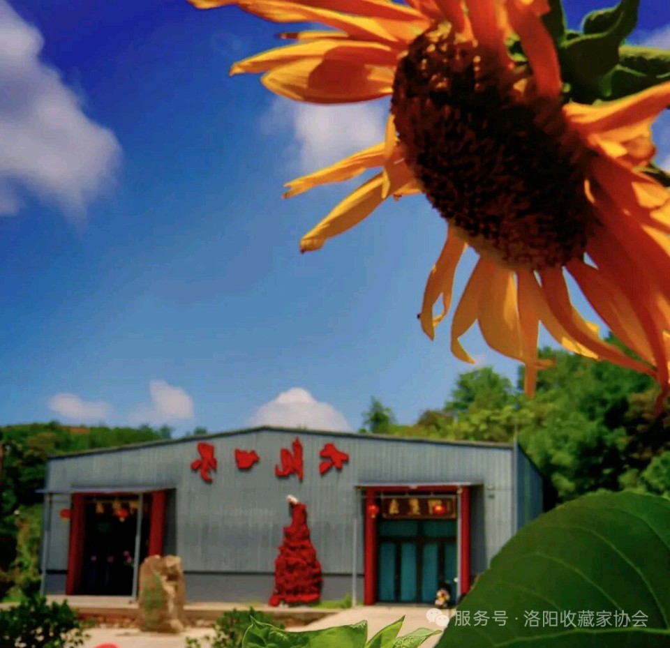 十年耕荒铸文脉 山水逍遥见初心‖作者:罗敬选