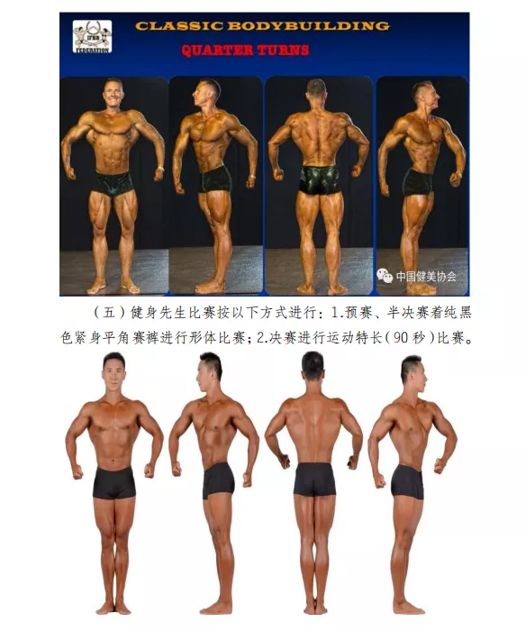 ​11月20号开赛！'绿谷仙森'杯安徽省健身健美锦标赛暨大学生健身健美公开赛（图7）