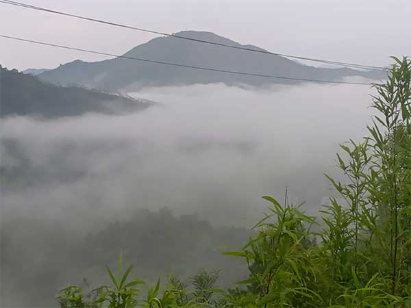 丙午岁重游天柱山_文/曾培方