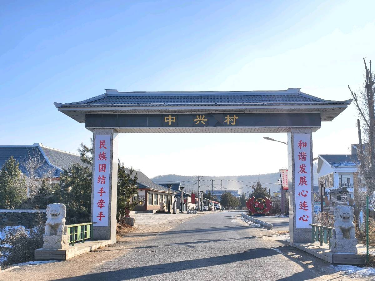 七律•再忆中兴 作者:王省南（浙江杭州）（图2）