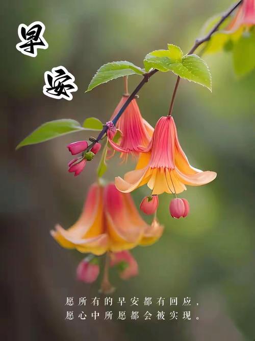 u=858428504,1272119735&fm=253&app=138&f=JPEG.jpg