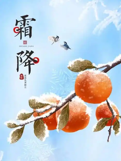 《霜降是季节变换的天使》作者‖唐付忠    金牌主播‖张福君