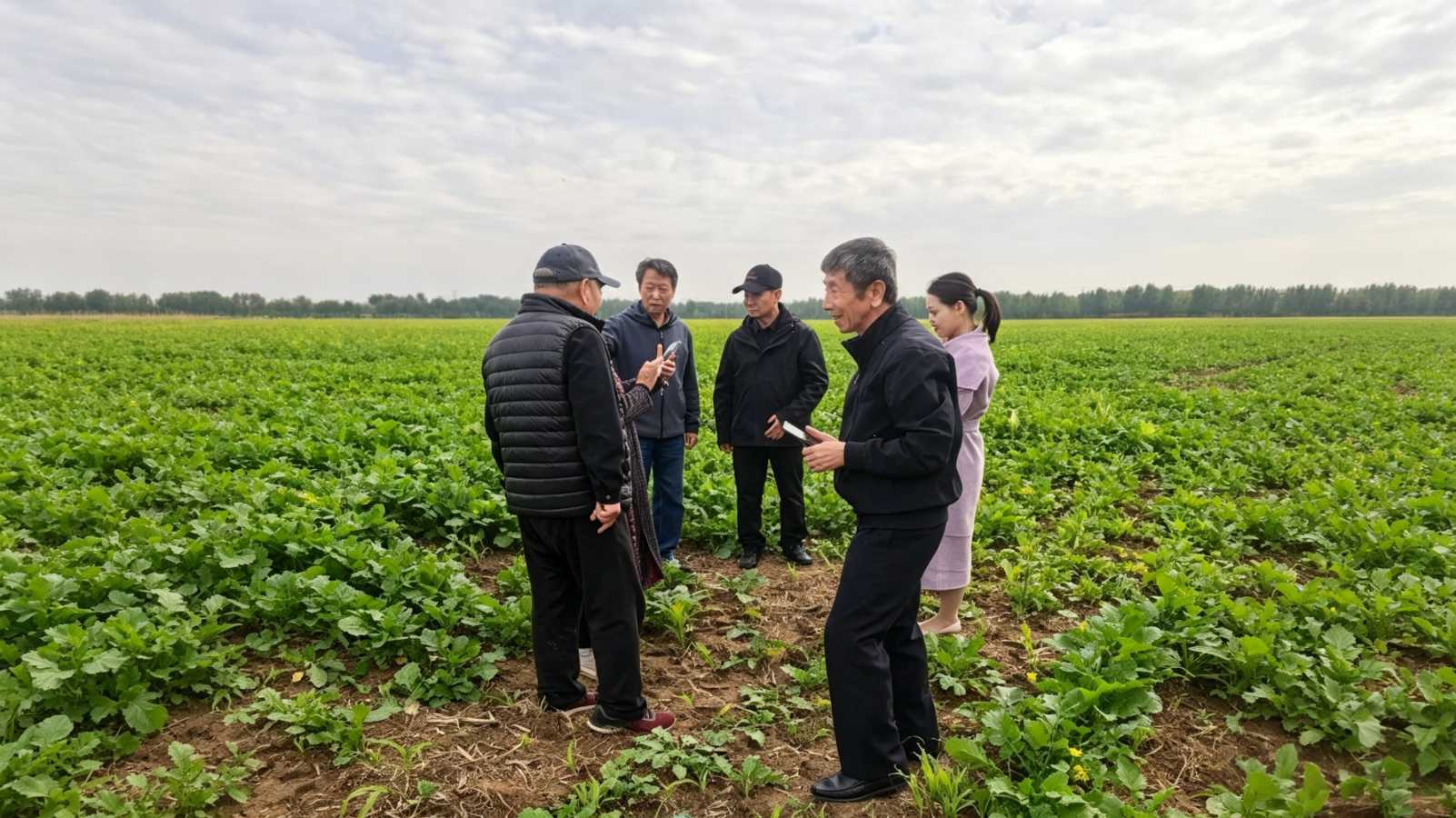 助力美丽乡村振兴之歌—省会书画名家走进衡水市安平县安平镇杨屯村(图2)
