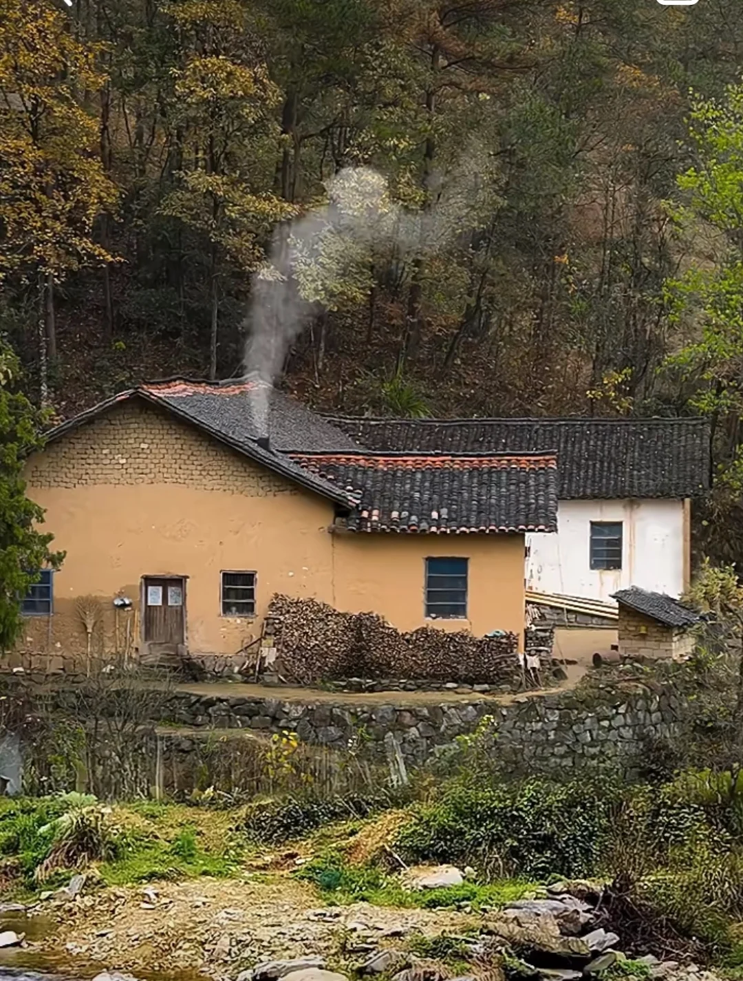 【中国雨巷文学社】北京头条 第4239期 诗歌《野柿·关山暮·晚红》外一首 作者:虬岛 - 北京(图4)