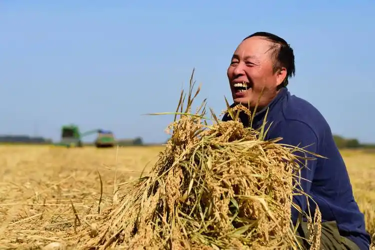 七律  秋赋三首文/翰墨轩主播/悠悠