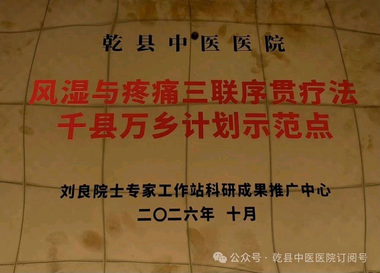 院士赋能 薪火传承|乾县中医医院成功签约刘良院士专家工作站“千县万乡计划”项目(图11)