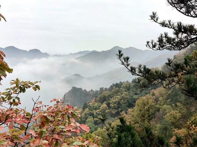 南阳市内乡:名家走进宝天曼 笔墨礼赞生态美