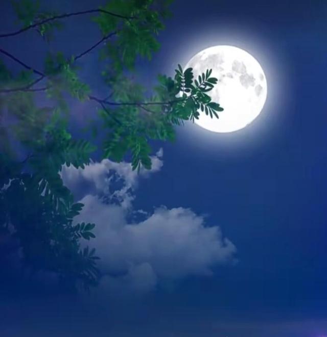 t04b71c3aaea583df75