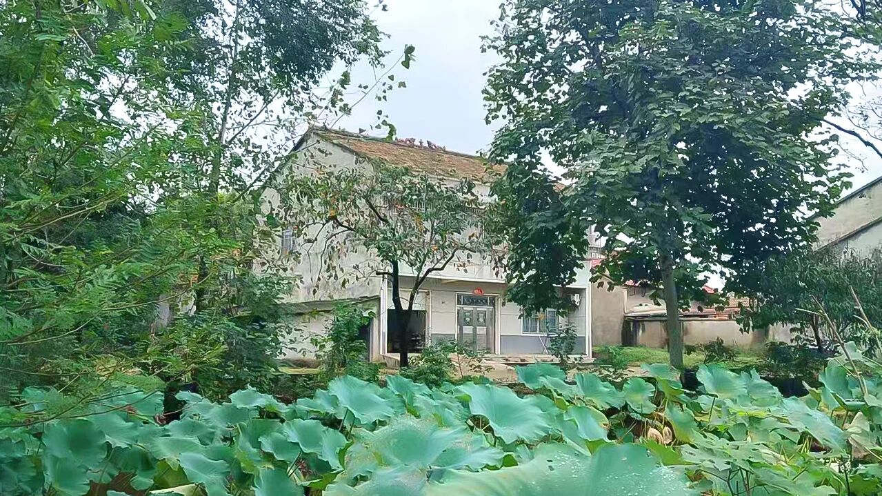 《九州风雅颂》祖碑研究之六 修德正家敬业,汲古润后人(3) ——刘湾杨氏宗亲现代奋进的故事(守土固本(图3)