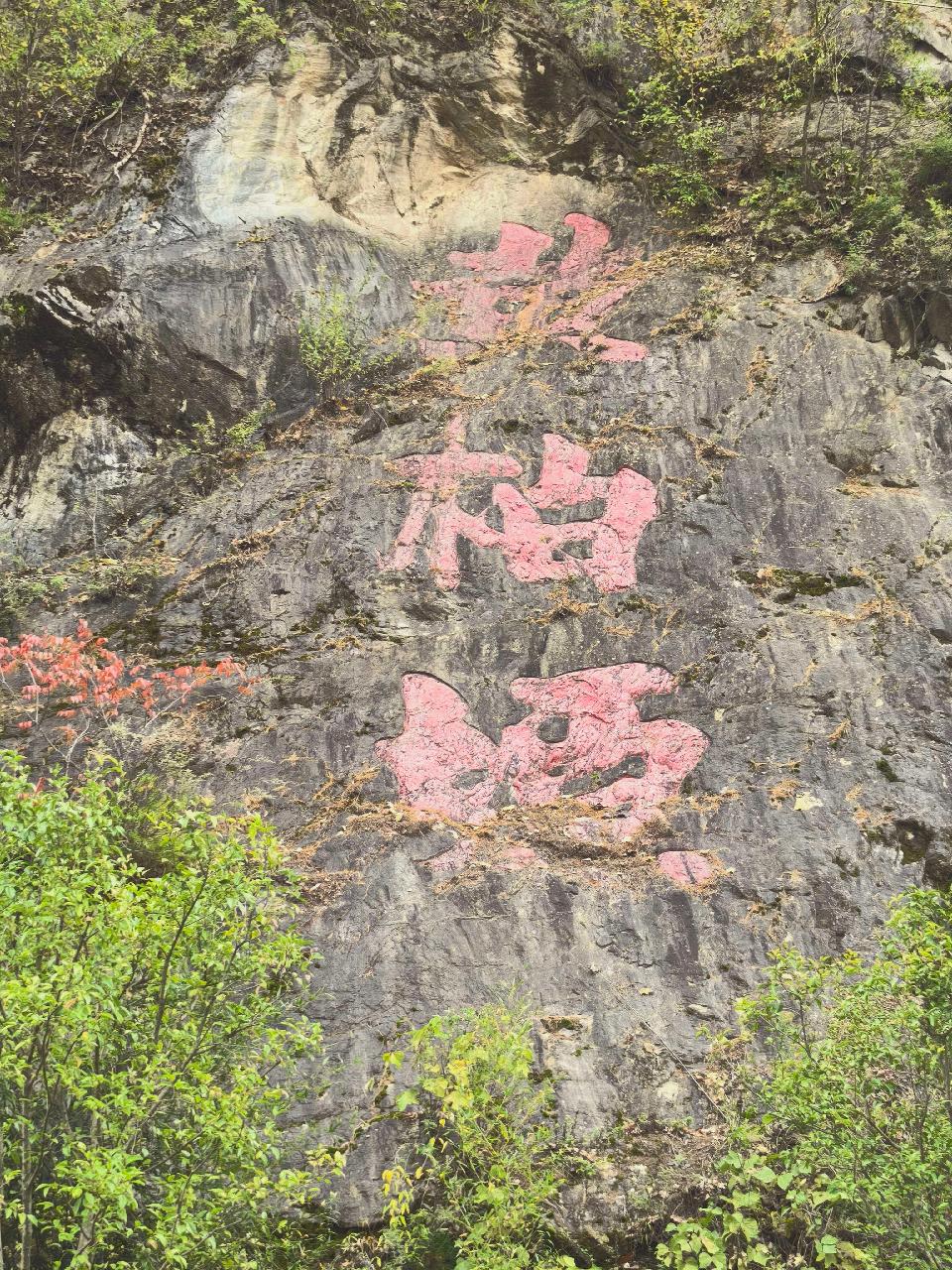 【乐天头条】文学社//黄柏塬景区游记/作者：姚增战
