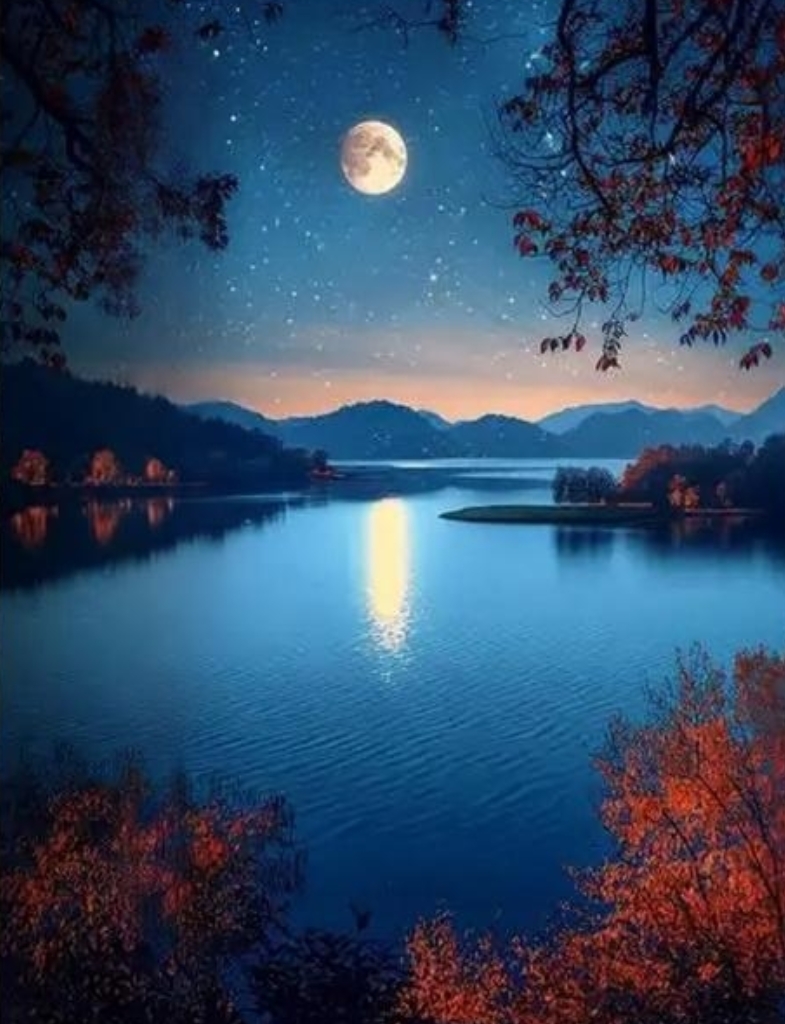 images/2/2026/10/mvPHT7T67MjT515qVJ66D4NnVn4mj4.jpg