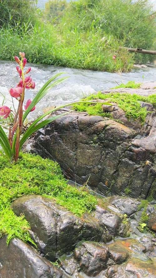 组诗/山溪——李庆和收录（图3）