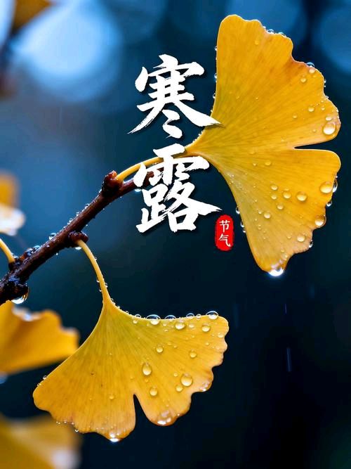 每日一诗（白话诗·25）秋天里的故事系列之二十五——秋风·秋叶/牧夫
