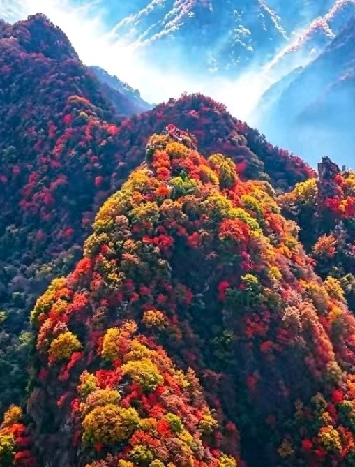 【蓝月亮诗刊】签约诗人：隆光诚/七律·秋景