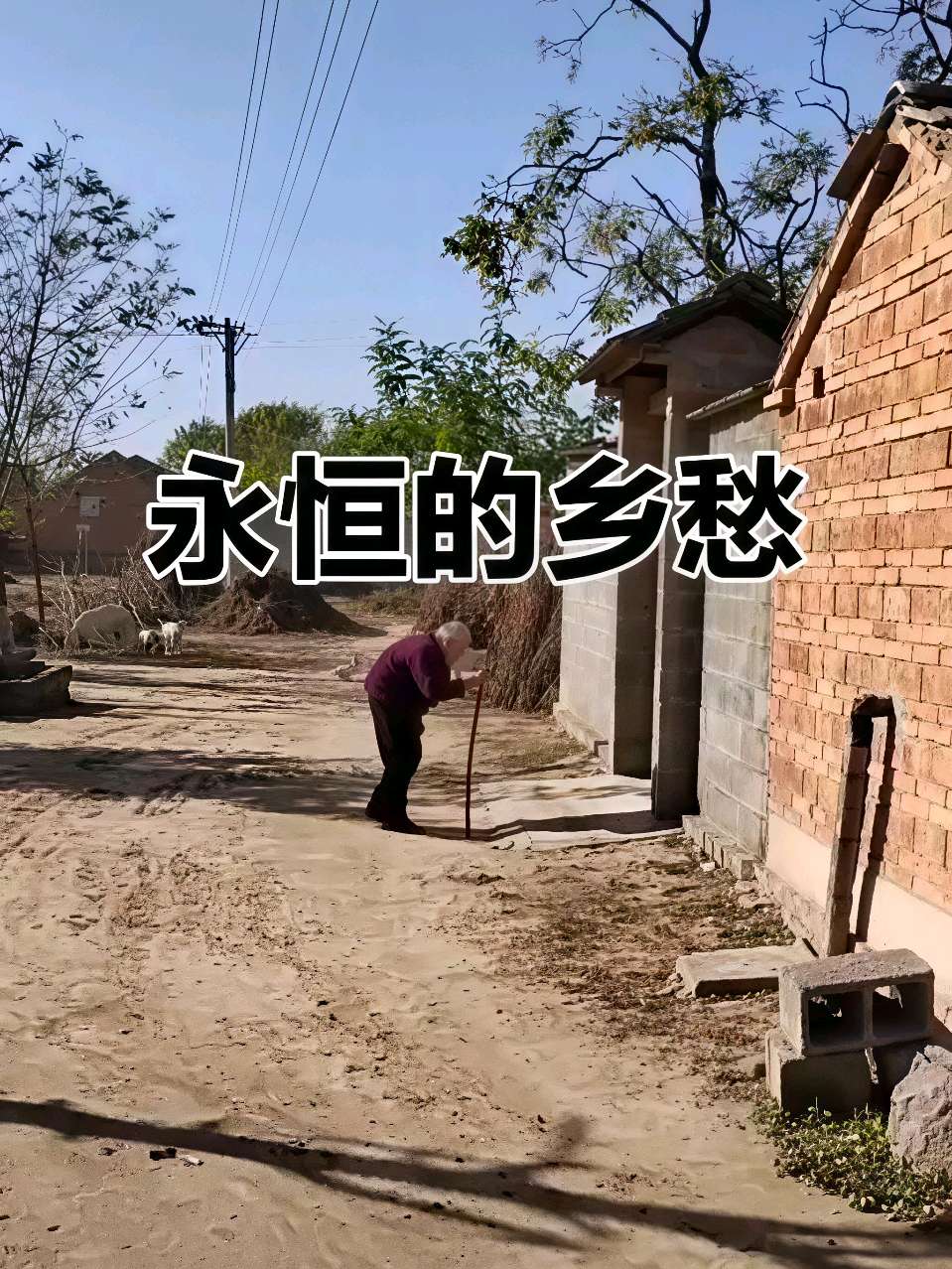乡愁是牵念 (外一首) 文/刘英(甘肃武威)（图4）