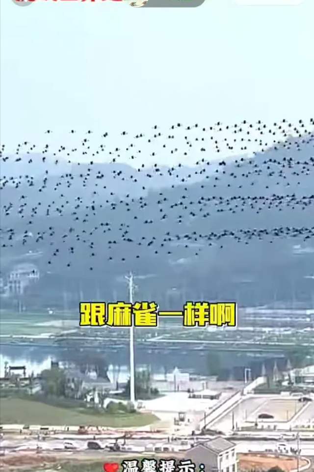 【瞭望】中国无人机的挑战(诗/赵月明)(图4)
