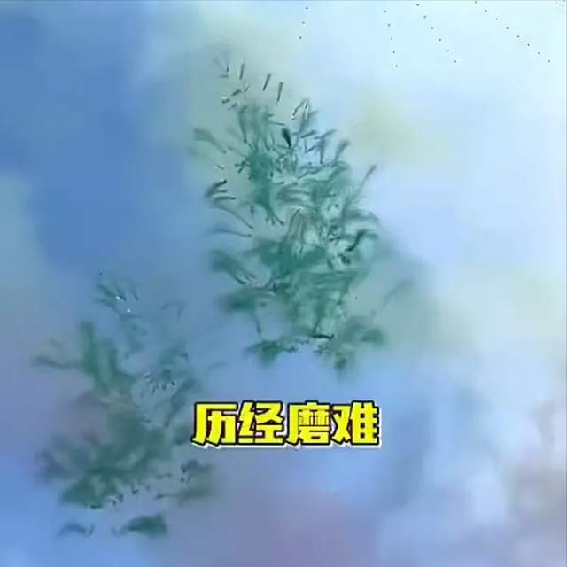 【瞭望】中国无人机的挑战(诗/赵月明)(图8)