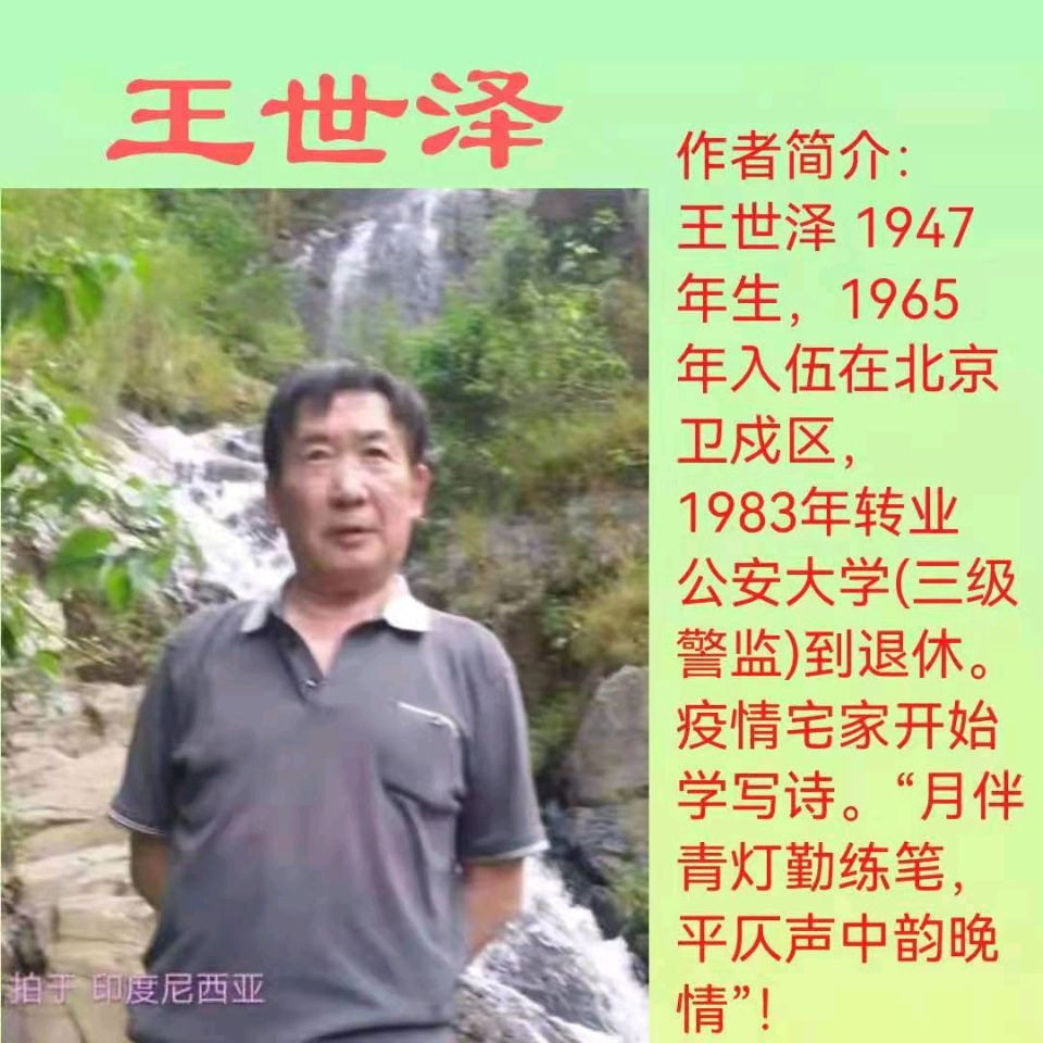 七律//重九登高 作者//王世泽(北京)（图5）