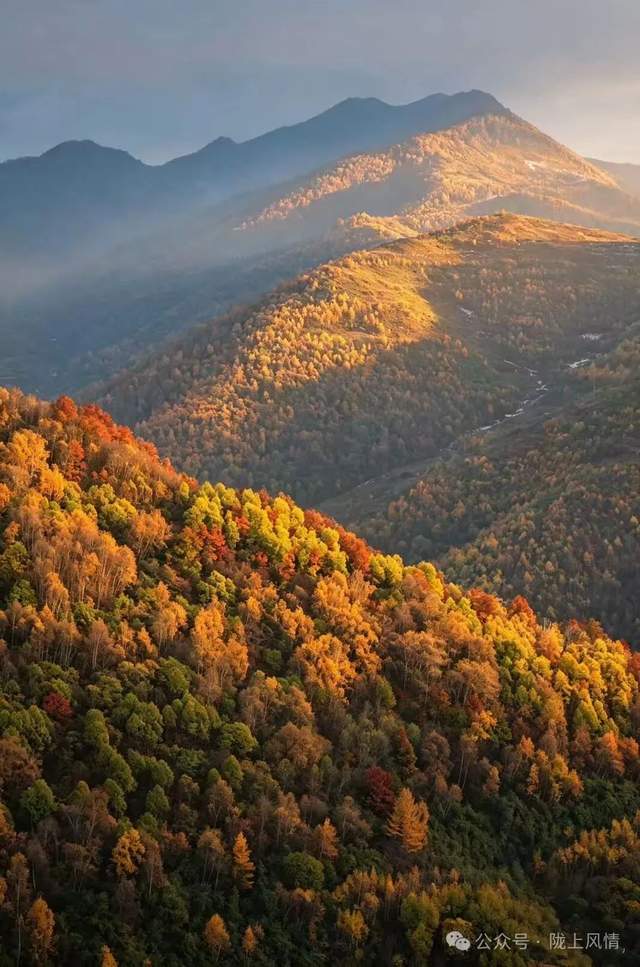 云顶山:一峰两季 秋艳霜白(萧同杏)(图3)