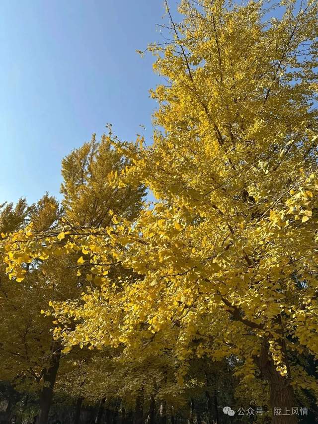 香山饯秋赋(萧毅)(图2)