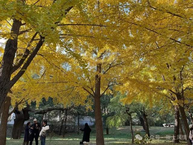 香山饯秋赋(萧毅)(图5)