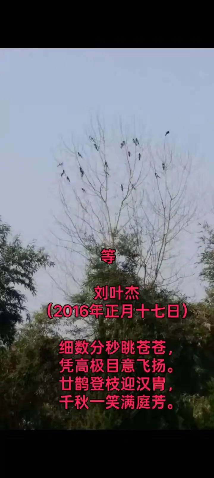 彭城后裔寻祖脉•千秋一笑满庭芳——刘叶杰两首诗词意境与典故解读（图18）