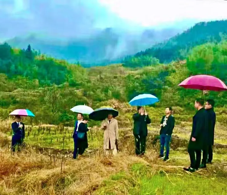 彭城后裔寻祖脉•千秋一笑满庭芳——刘叶杰两首诗词意境与典故解读(图3)