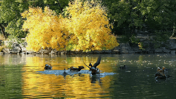 images/2/2026/10/eJhbbUrhcHUnuzohqRRAHOsrbWj4B4.gif