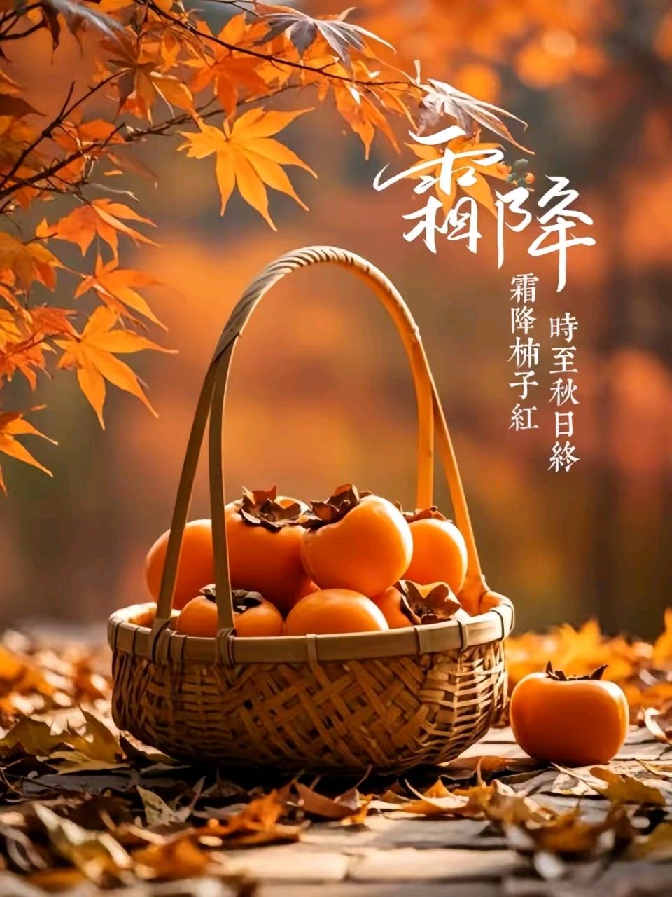 诗人薛有毅诗词专辑(图2)