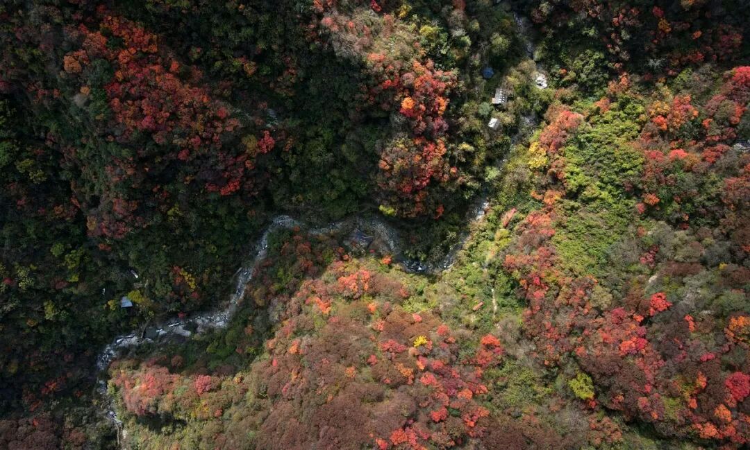 红叶季进山“无痕”实操指南——从出门前到下山，每一步都不留垃圾