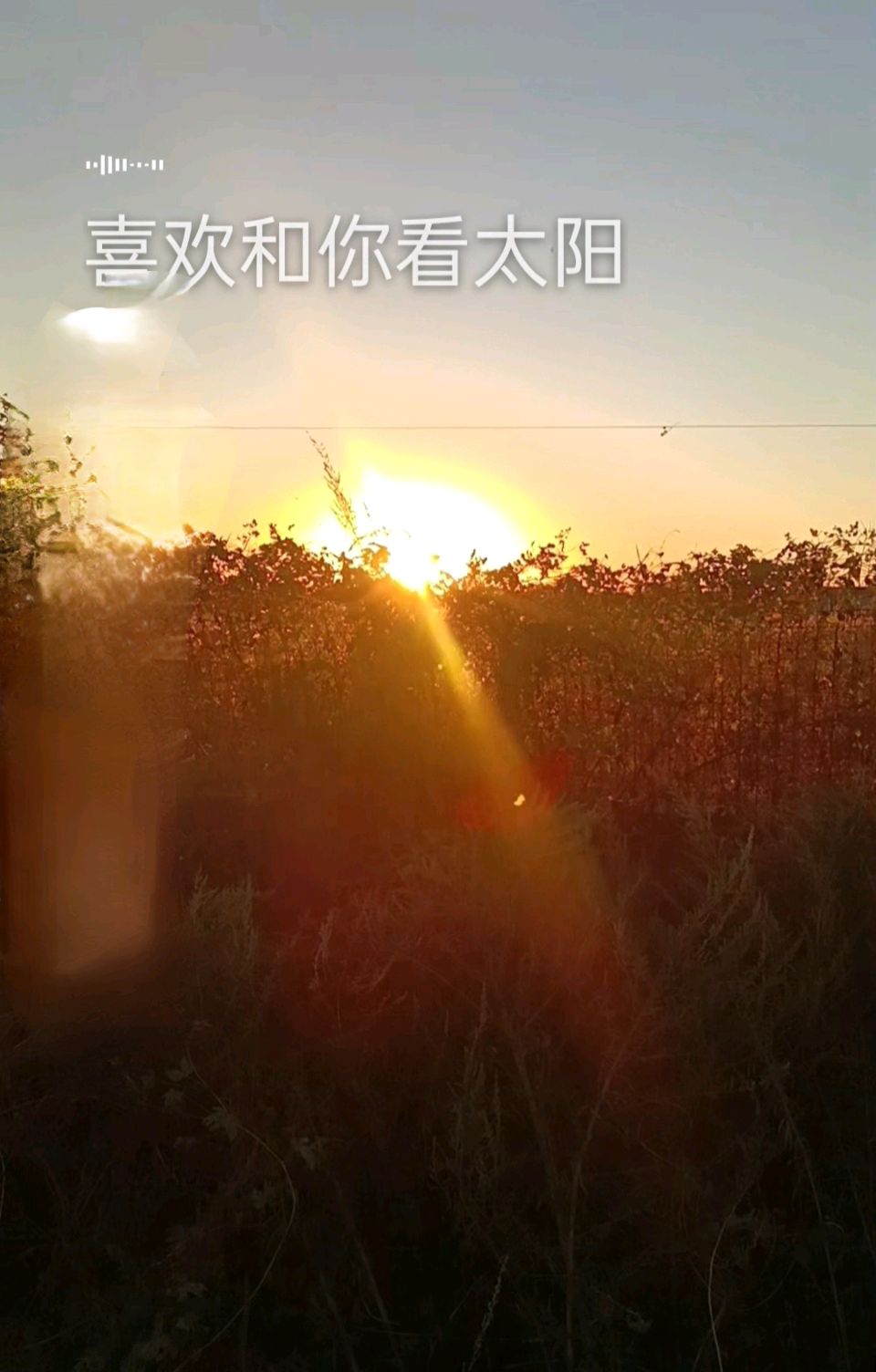 河子之声〔第917期〕‖战歌：苦海孤渡（外一首）