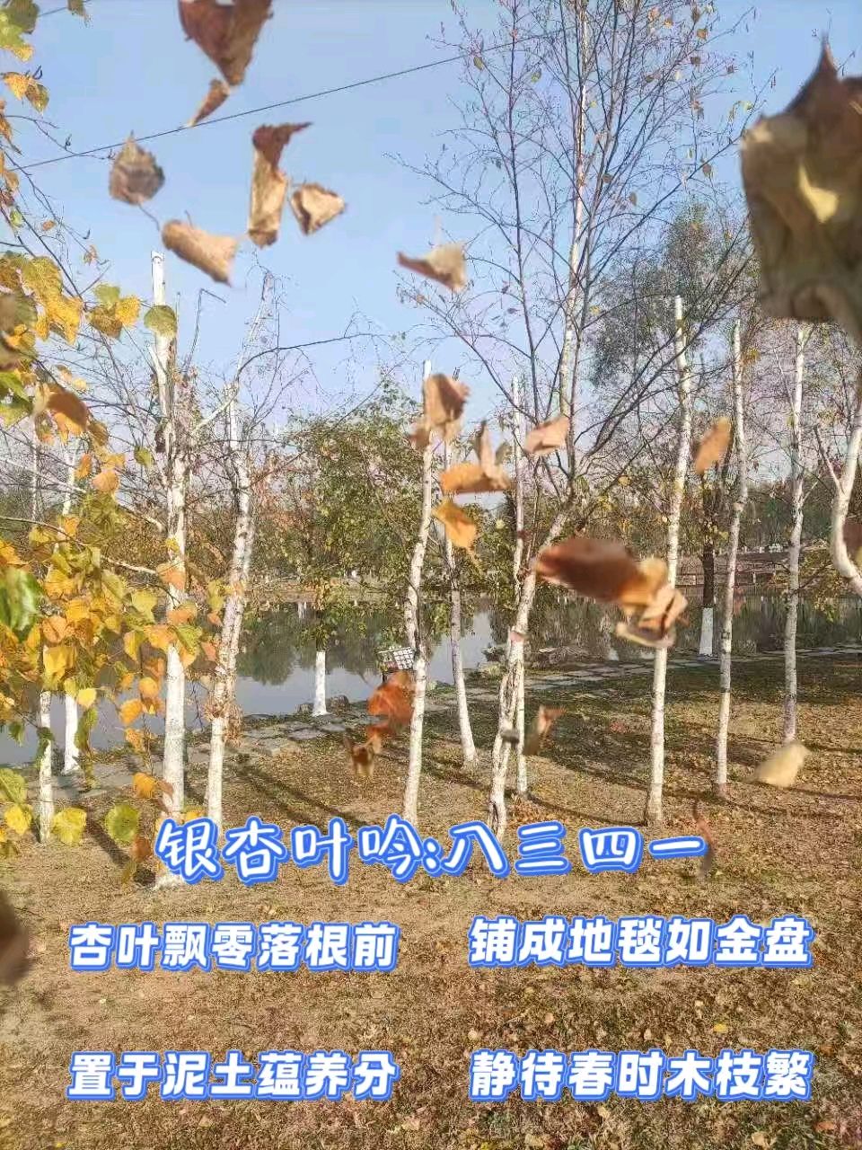 【神州雅颂】八三四一诗四首