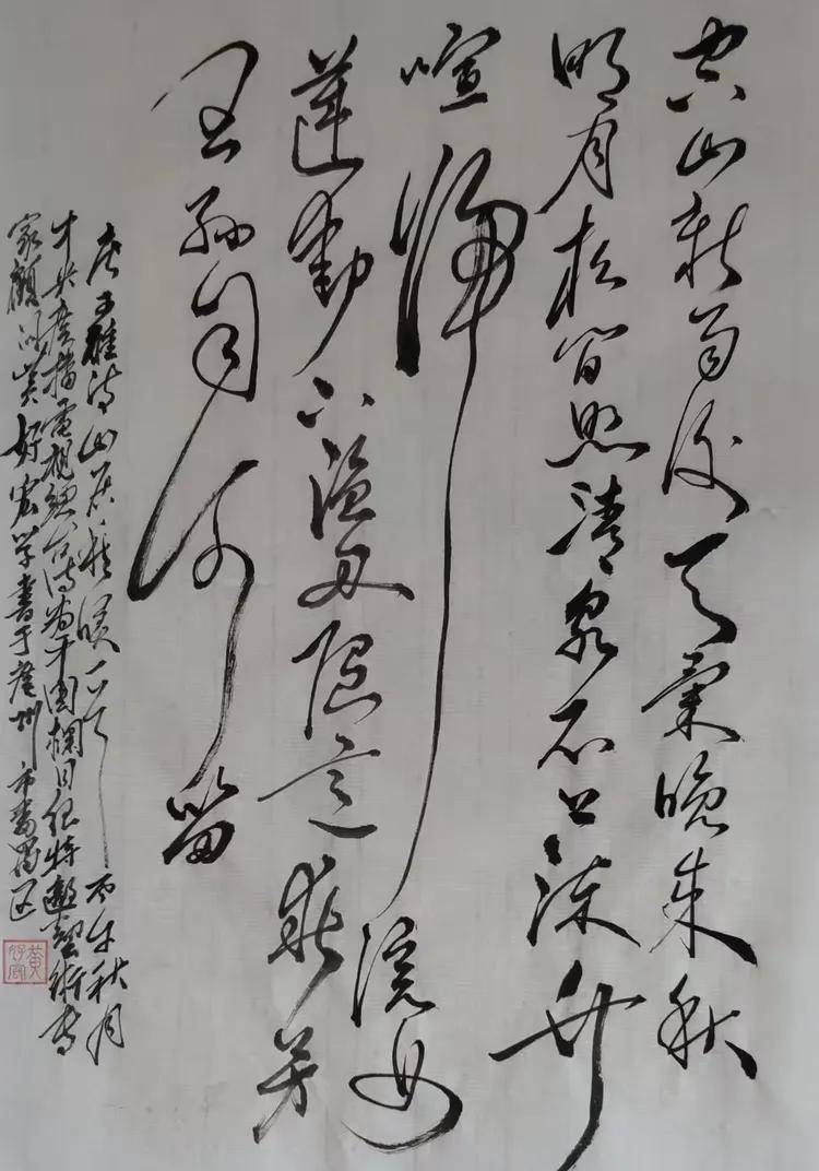 央视《诗画中国》艺术专家顾问——黄好宏(图18)