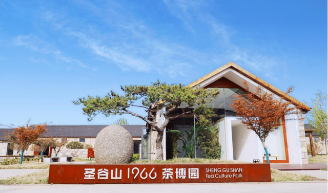 守南茶北引根脉 以匠心拓茶业新局— 圣谷山高建华深耕北方茶的长期主义之路182.png