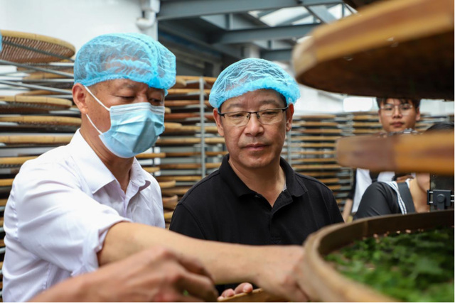 守南茶北引根脉 以匠心拓茶业新局— 圣谷山高建华深耕北方茶的长期主义之路1180.png 守南茶北引根脉 以匠心拓茶业新局— 圣谷山高建华深耕北方茶的长期主义之路1180.png