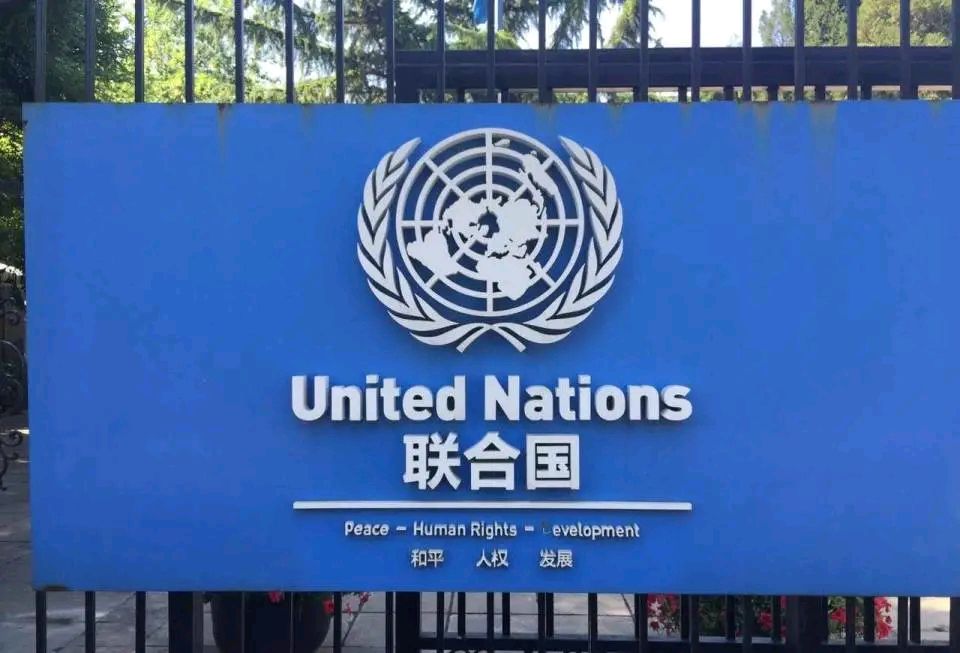 🇨🇳【思归客诗词学会】NO:5582（名家风采）满江红 纪念联合国成立81周年感怀//文:徐国祥（图5）