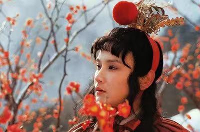 《红楼梦》系列之139组（读《红楼梦》之第21 – 27回（36首）孙春红（山东莘县）【冰心文化传媒】总编:站长冰心（图15）