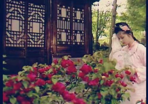 《红楼梦》系列之139组（读《红楼梦》之第21 – 27回（36首）孙春红（山东莘县）【冰心文化传媒】总编:站长冰心（图78）