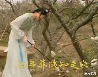 《红楼梦》系列之139组（读《红楼梦》之第21 – 27回（36首）孙春红（山东莘县）【冰心文化传媒】总编:站长冰心（图39）