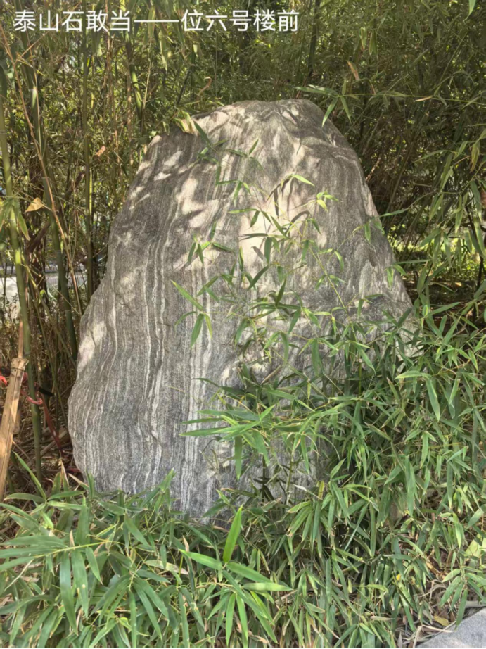 丁再献: 我爱历山名郡——雕塑奇石实可人（图13）