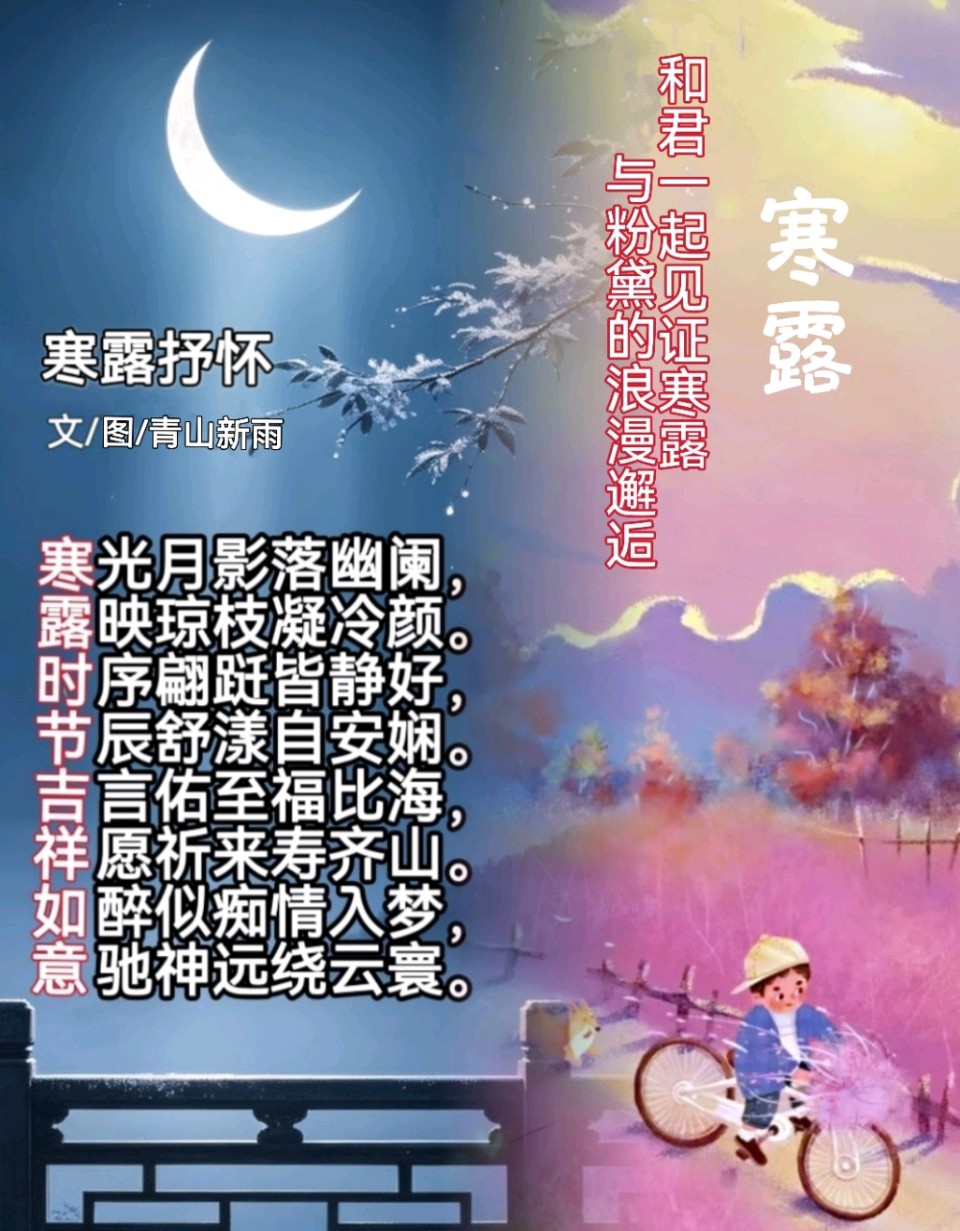 寒露抒怀文/图/青山新雨一一一（图3）