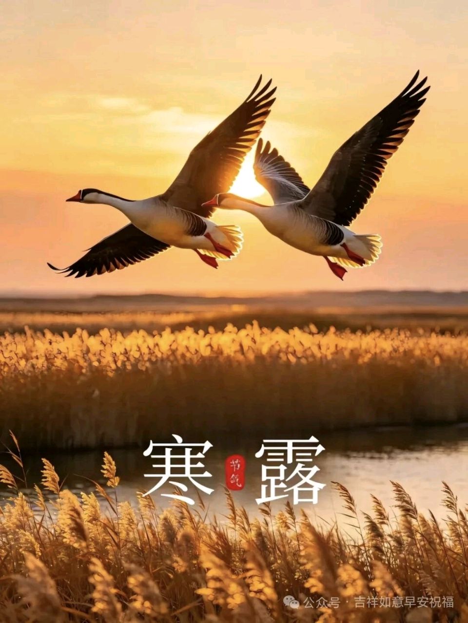 忆江南·寒露节令偶成金夜（兰州）（图3）