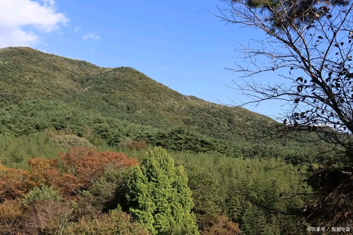 【北京头条】王建生现代诗歌专辑013期（图5）